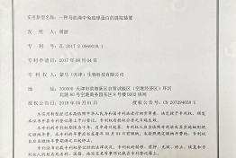 一种马血清中免疫球蛋白的提取装置